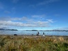 A lovely walk promenading along petone shoreline with the wheelies