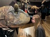 Dinosaur exhibit free for Wellingtonians today. Amazing.