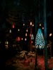 Redwoods tree walk at night. Beautiful but freaked mama out!