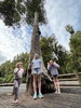 Wishing tree walk