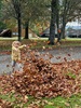 Ohakune stopover, autumn.