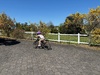 Enjoying spring in Taupo and the mega Lego game of days