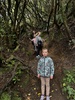 Mt Tauhara family walk in the misty rain. Bacon buttie rolls and hot chocolates at the top. Lots of lambs and moss for everyone. Followed by a warm bubble bath with smurfs.
