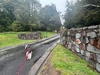 A very rainy day with rock painting, Lego, hot pools and the daily botanical walk.