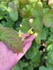 Garden glory for spring