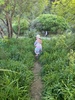 A one nighter at kaitoke. Got to take zorro. Nice bush walk before dinner.