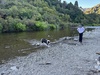 A one nighter at kaitoke. Got to take zorro. Nice bush walk before dinner.