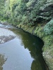 A one nighter at kaitoke. Got to take zorro. Nice bush walk before dinner.