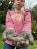 Worm nursery with a tea break