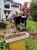 Worm nursery with a tea break