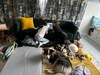 Double sleepover with maisie and Lu.