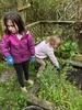 Pancakes for brunch, weeding the vegetables patch, making new friends and finding a really old bottle! Tom made a new home for the compost bin too.