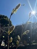 Spring is here at last