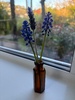 Spring is here at last