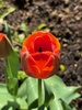 Spring is here at last