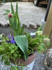 Spring is here at last