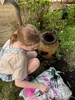 A lovely garden weekend getting a few things done. Moved the caravan around finally! Tom moved the bricks and cleaned up the bricking. I got some seeds in and finally my rose!