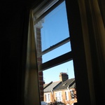Looking out the window of Paul's bedroom.