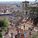 Alpine trees mixed with ancient roof tops