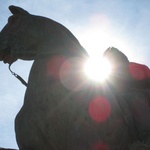 The mighty horse!