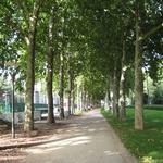 The "Parc De La Tete D'or" was gorgeous.