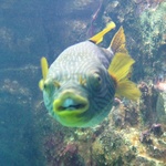 As well as this crazy guy. Give us a kiss!