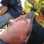 Just a quick nap.....