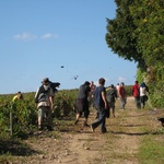 The grape fight!