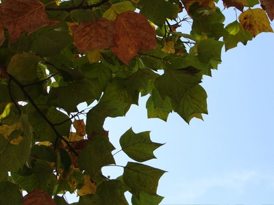The start of Autumn 