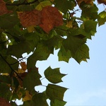 The start of Autumn 