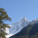 Tree, mountain and more trees