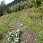 Just a few more steps