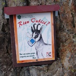 They have funny looking deer