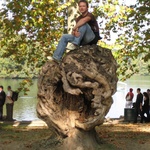 Tom conquers a stump.