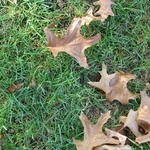 The start of Autumn