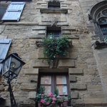 Cute windows