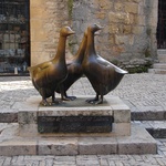 The icon of the region, poor goosey