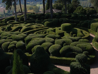 Boxwood hedges at their best