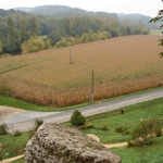 Corn fields all over the region