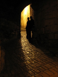 Shadows from the creatures of the night