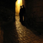 Shadows from the creatures of the night