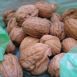 We turned into Squirrels and ate a bag full of walnuts - yum