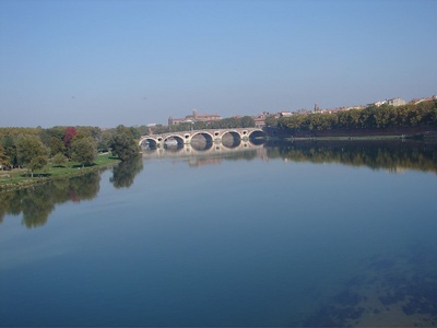 The view of Pont Neuf bridge