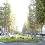 Leading to the Grand Rond park area