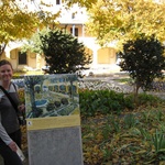 Courtyard of the hospital at Arles scene