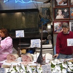 Big fish: Marlin or swordfish??