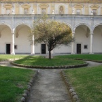 Lemon tree garden