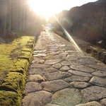 Mossy path