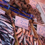 All sorts of coloured fish