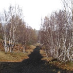 The path to wherre?